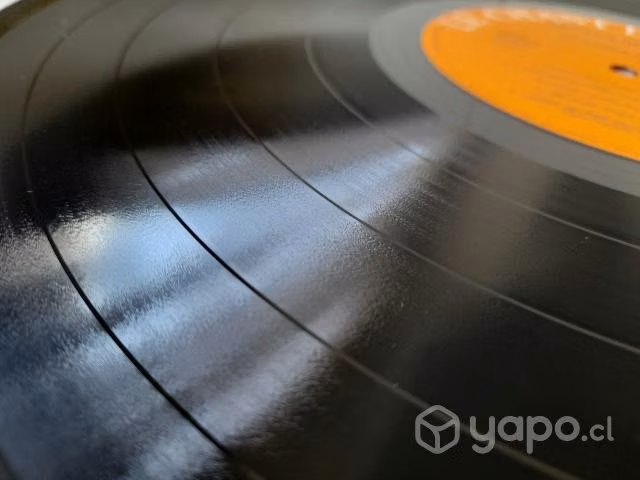 Osvaldo Rodríguez - Les Oiseaux Sans Mer Vinilo