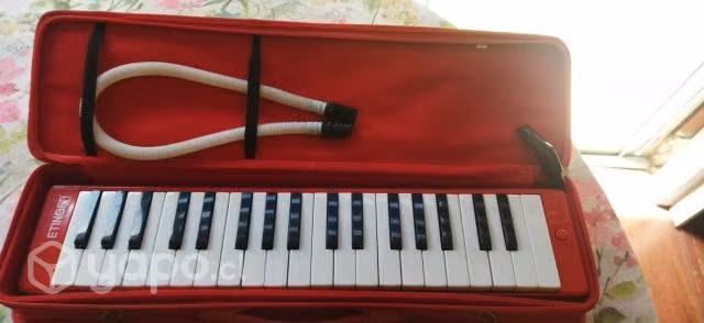 Instrumentos musicales - Imagen 2