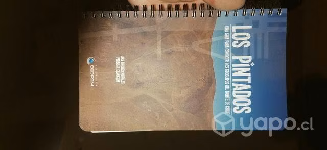 Libro Los Pintados