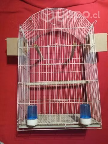 Jaulas para aves