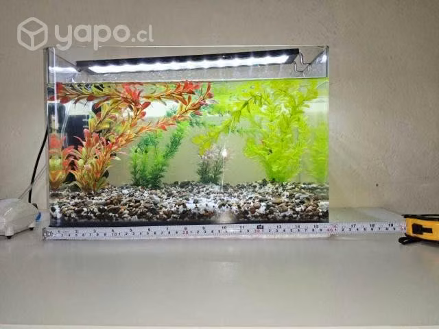 Acuario completo