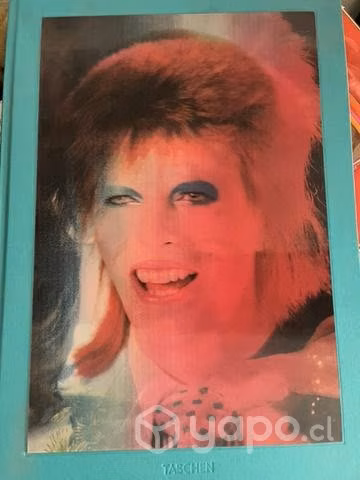 Libro David Bowie