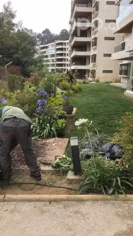 Servicio de jardineria