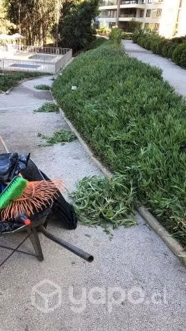 Servicio de jardineria