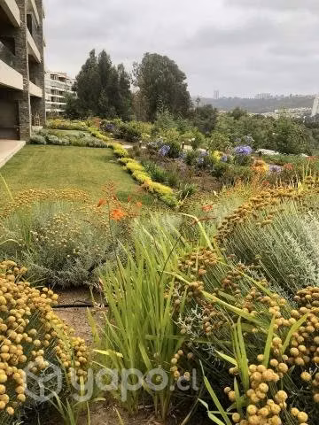 Servicio de jardineria