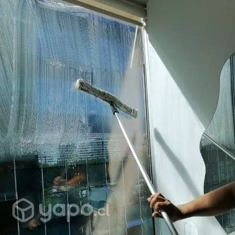 Limpieza De Vitrinas Locales