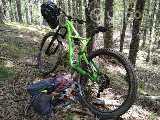 Specialized Enduro 2017 aro 29 "L" - Imagen 2