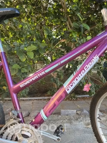 Bicicleta - Imagen 2