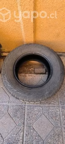 Neumáticos Raptor R16