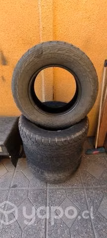 Neumáticos Raptor R16