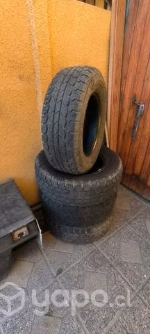 Neumáticos Raptor R16