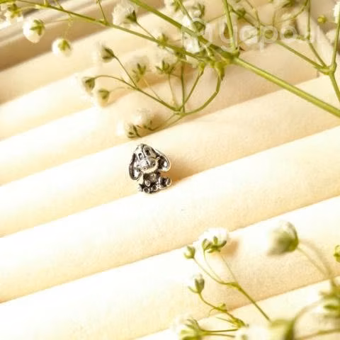 Charms Pandora S925 - Imagen 3