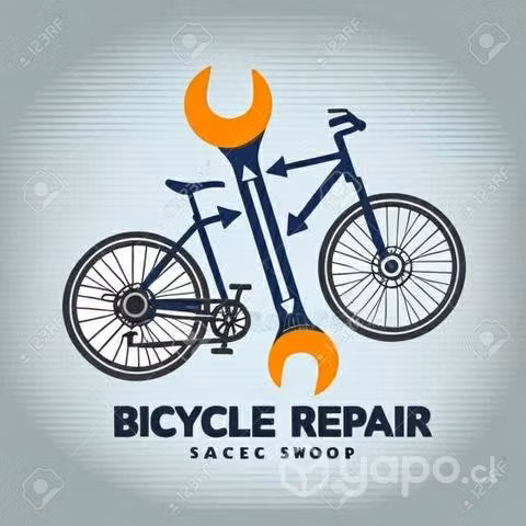 Reparación bicicletas a domicilio