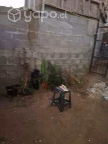 Casa por dia guanaqueros