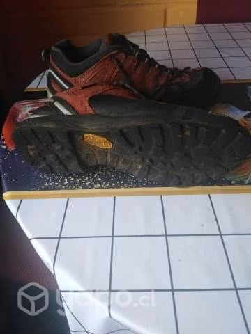 Zapato zapatilla