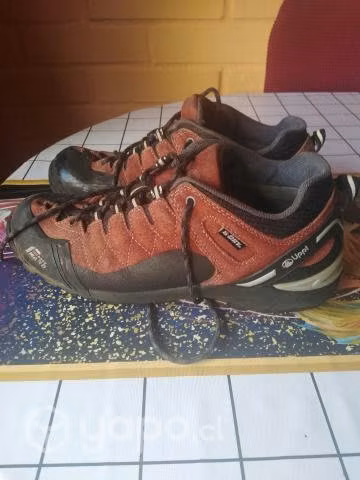Zapato zapatilla