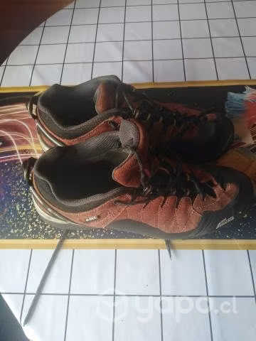 Zapato zapatilla