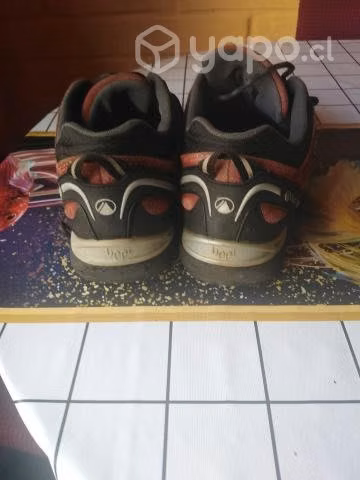 Zapato zapatilla