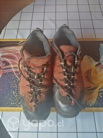Zapato zapatilla