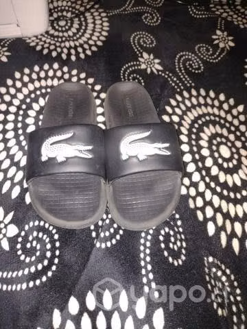 Chalas Lacoste original