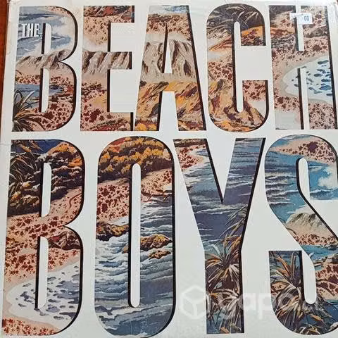 DISCOS VINILOS BEACH BOYS el tabo