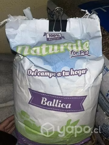 Casa para cobaya