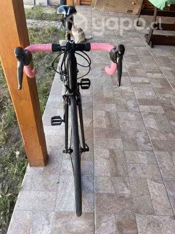 Bicicleta scott speester 20 mas accesorios