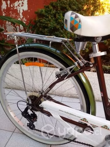 Bicicleta Femenina