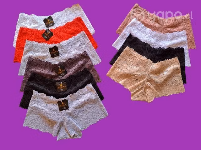 Lote emprendedor ropa interior