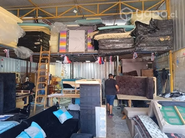 Local comercial y casa plena avenida