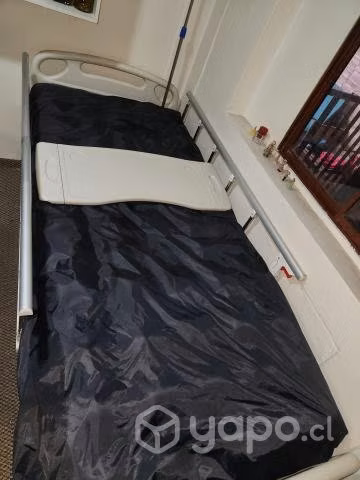Cama Ortopédica