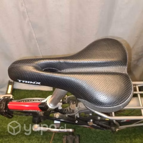 Bicicleta plegable aro 16, viene con bolso