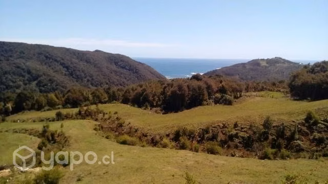 Campo en Estaquilla - Imagen 4