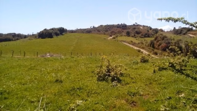 Campo en Estaquilla - Imagen 6