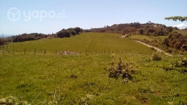Campo en Estaquilla - Imagen 8