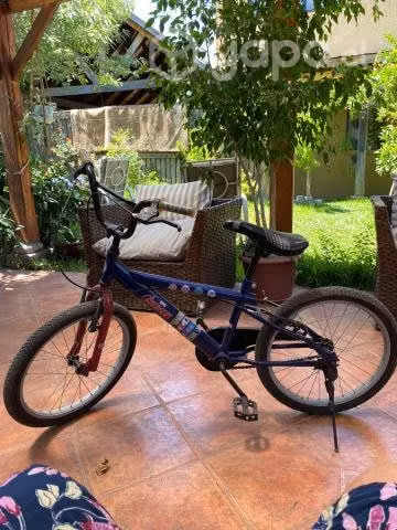 Bicicleta NIÑO ARO 20 - Imagen 2