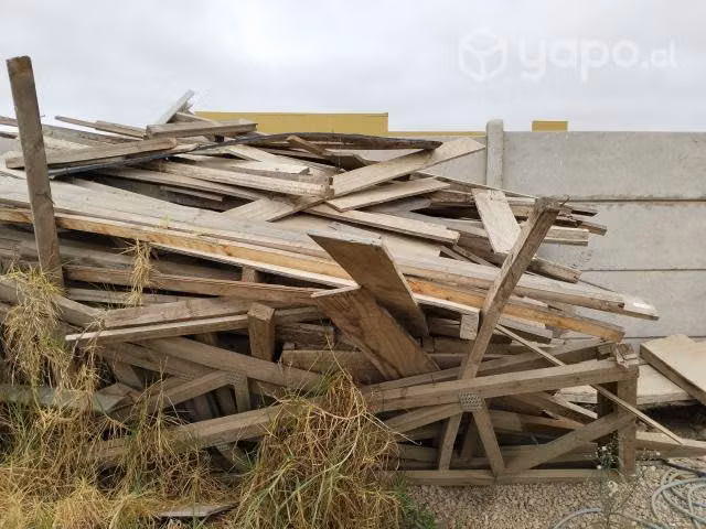 Madera