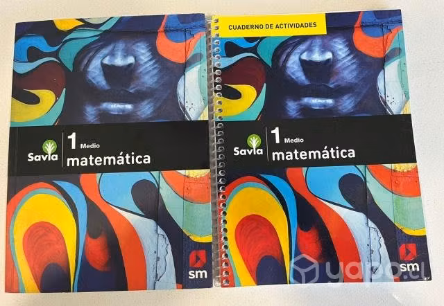 Texto Editorial SM Matematicas 1° Medio