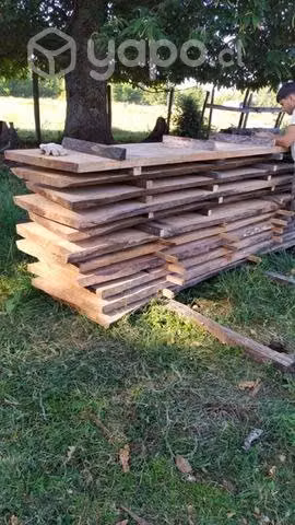 Cubiertas de árboles nativos