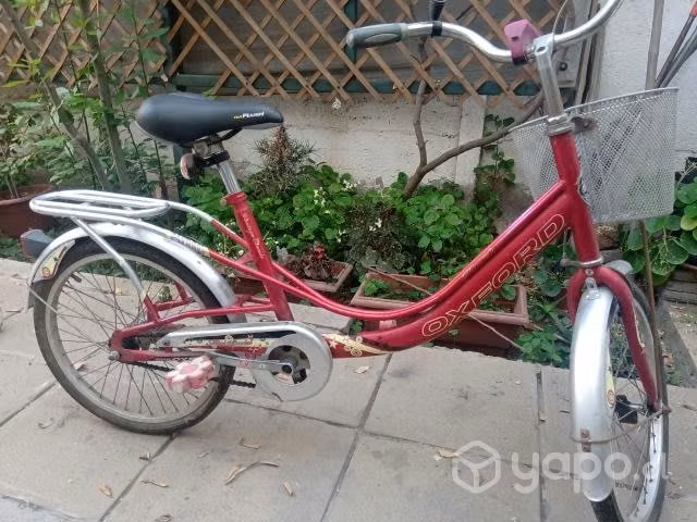 Plataforma vibratoria y bicicleta mini - Imagen 3