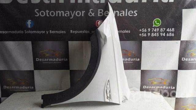 Tapabarro nivus Lh 2.1