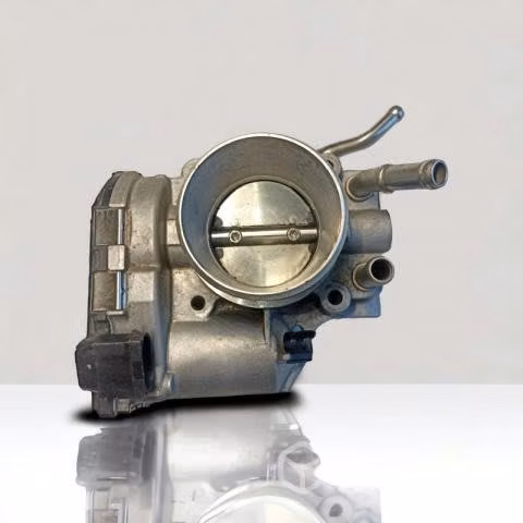 Cuerpo Aceleracion Kia Rio 