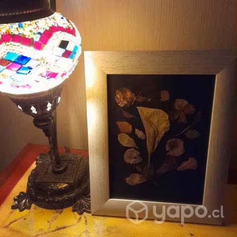 Cuadros decorativos - Imagen 6