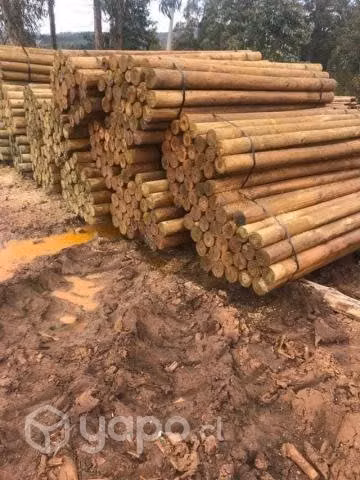 Polin Impregnado