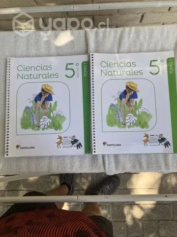 Libro ciencias naturales 5 básico Santillana nuevo