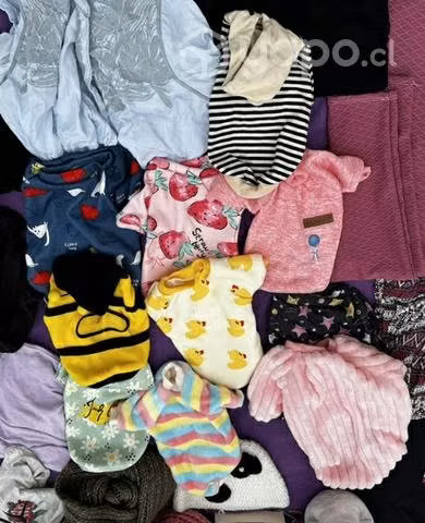 Lote de ropa mascotas