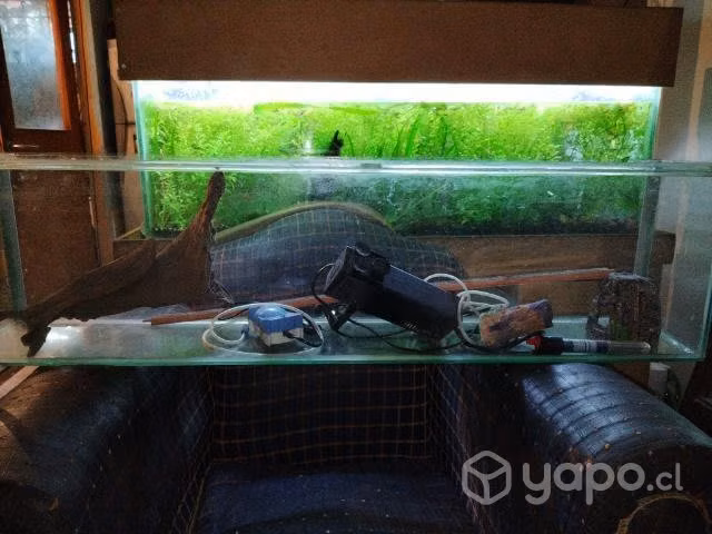 Acuario usado