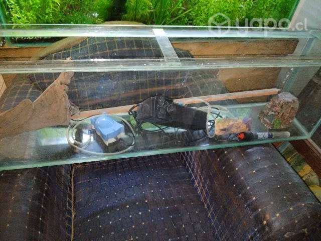 Acuario usado - Imagen 2