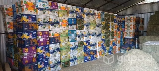 Cajas de platano