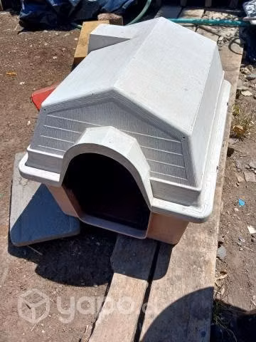 Casa de perrito